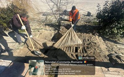 Fose septice ilegale, descoperite pe plajele din Năvodari Ministra Mediului, Diana Buzoianu, a anunțat miercuri seară că echipele de la Apele Române și ISU Dobrogea au descoperit noi instalații îngropate ilegal pe plajele din Năvodari