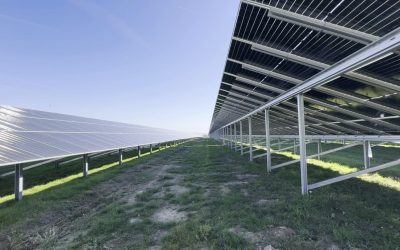 Record de producție pentru energia solară în România: Aproape o treime din energie, asigurată de panourile fotovoltaice Vineri, la ora 12:48, România a atins un nou record în ceea ce privește producția de energie electrică din surse fotovoltaice