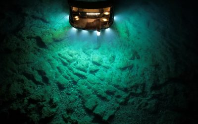 Presiunea abisală: Secretul hranei din adâncuri O nouă cercetare, realizată de oamenii de știință de la Universitatea din Danemarca de Sud (SDU), sugerează o perspectivă revizuită asupra vieții din adâncurile oceanului