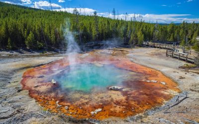 Gheizerul Echinus din Yellowstone, din nou activ după cinci ani de liniște Gheizerul Echinus, cel mai mare gheizer acid din lume, situat în Parcul Național Yellowstone, a erupt din nou la începutul anului 2026