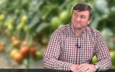 Criza carburanților scumpește legumele în piețe și magazine