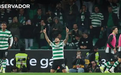 Luis, prima bătălie într-un război de tranșee