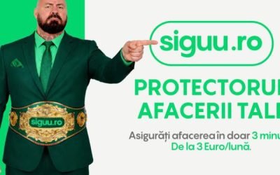 Asigurările imm-urilor, digitalizate: Soluția românească avansează