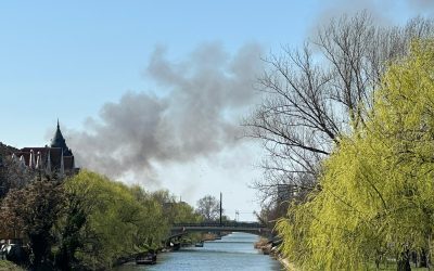 Incendiu în zona Freidorf: Pompierii intervin pentru stingerea focului Timișoara – Un incendiu a izbucnit miercuri în zona Freidorf din Timișoara, în apropierea Liceului Tehnologic Transporturi Auto
