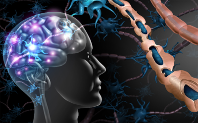 China aprobă primul dispozitiv creier-computer pentru uz comercial Autoritatea de reglementare a medicamentelor din China a aprobat comercializarea unui sistem de interfață creier-computer (BCI), marcând o premieră mondială