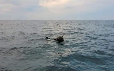 MApN: Rusia minte despre minele din Marea Neagră