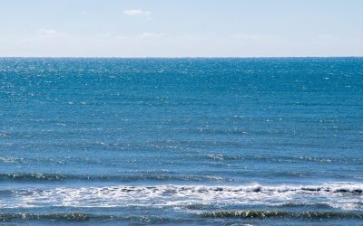 Curenții oceanici, sub amenințarea prăbușirii: Cum ar putea fi afectată clima globală Modificările observate în Curentul Golfului ar putea indica un risc crescut de prăbușire a Circulației Meridionale Atlantică de Răsturnare (AMOC), un sistem crucial pentru reglarea climei globale