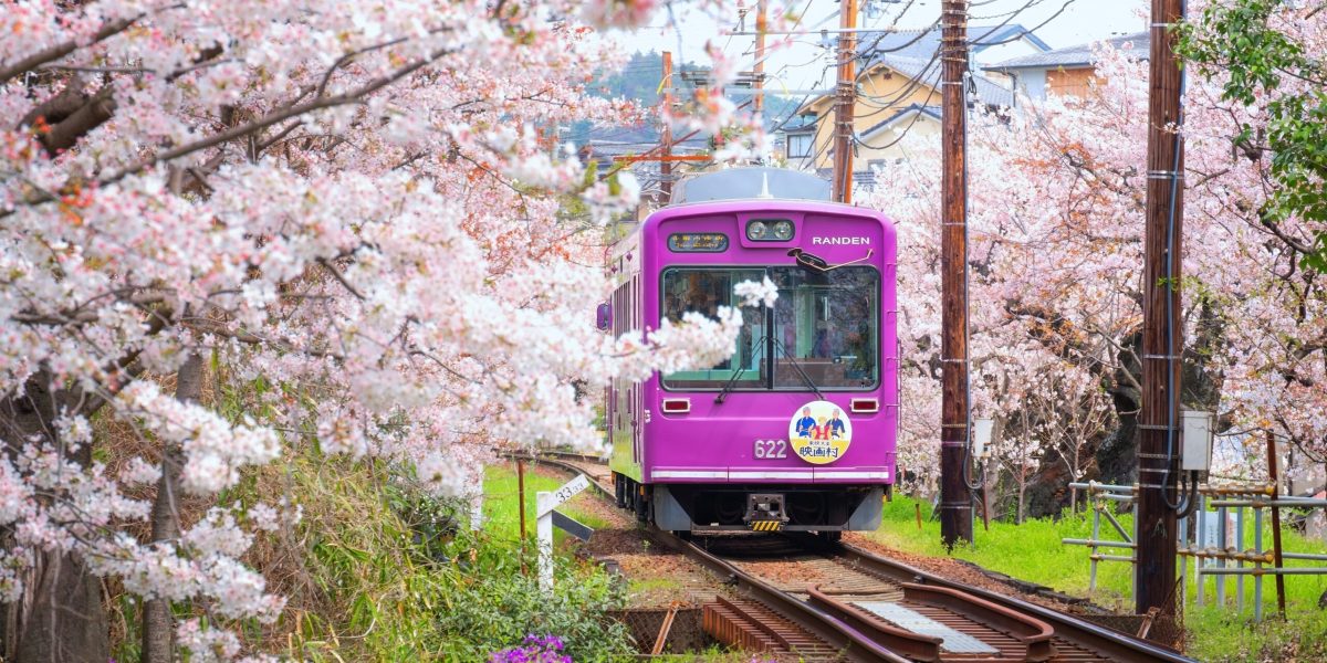 Kyoto majorează taxa turistică, în ciuda reputației de oraș prietenos Orașul japonez Kyoto, renumit pentru templele sale istorice și atmosfera tradițională, a majorat taxa turistică începând cu luna martie