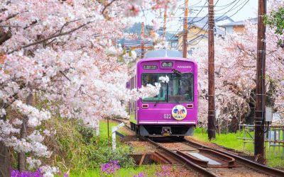Kyoto majorează taxa turistică, în ciuda reputației de oraș prietenos Orașul japonez Kyoto, renumit pentru templele sale istorice și atmosfera tradițională, a majorat taxa turistică începând cu luna martie
