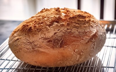 Pâinea coaptă pe foi de varză: un gust din tradiție revine în bucătăriile românești O rețetă veche, inspirată din bucătăria de odinioară, a revenit în atenția pasionaților de gastronomie