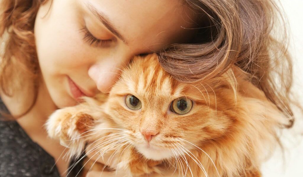 Posibile variante, ținând cont de limita de caractere:

Pisicile, o speranță în lupta anti-cancer, spun oamenii de știință. (61 caractere)
Cercetătorii: Pisicile ar putea ascunde leacul împotriva cancerului. (63 caractere)
Studiu: Pisicile, cheia secretă pentru combaterea cancerului? (55 caractere)
Oameni de știință: Pisicile ar putea oferi soluții anti-cancer. (61 caractere)