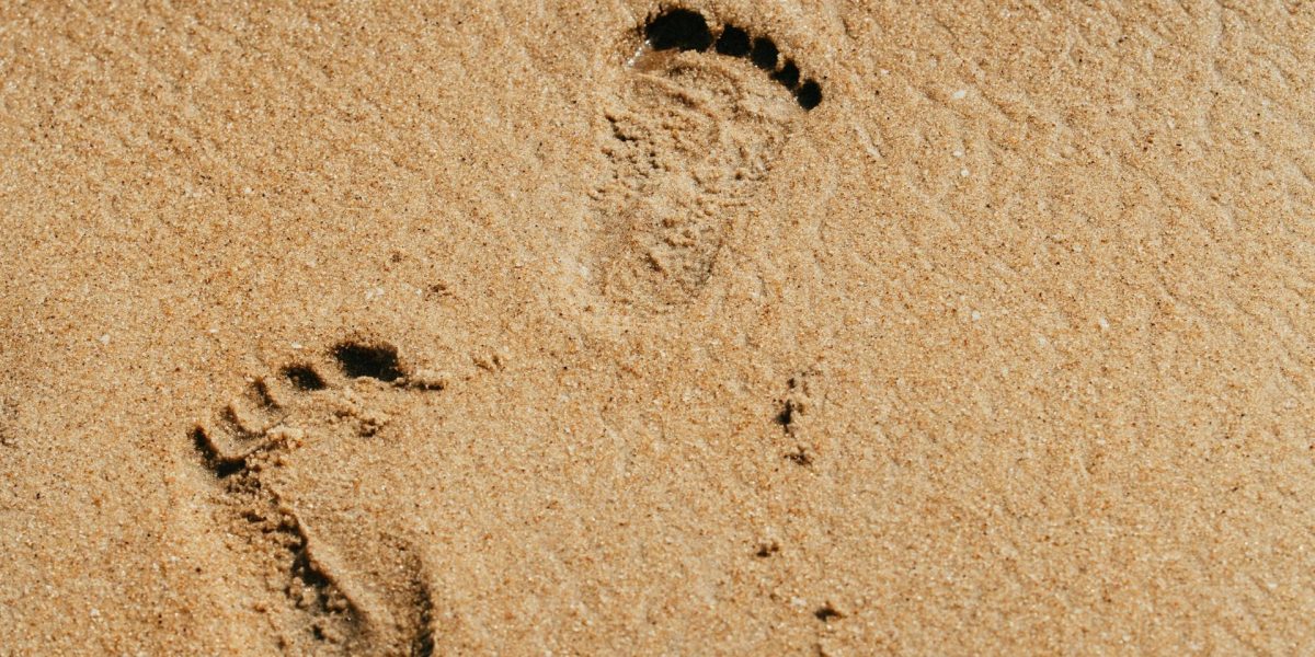 Licitații pentru plaje: Ministrul Mediului, despre noile criterii și reacțiile firmelor Numărul mare de firme înscrise la licitațiile pentru concesionarea plajelor a generat reacții din partea ministrului Mediului, Diana Buzoianu