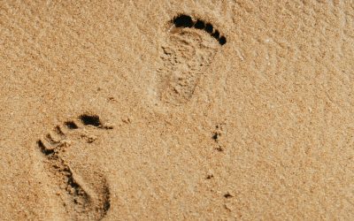 Licitații pentru plaje: Ministrul Mediului, despre noile criterii și reacțiile firmelor Numărul mare de firme înscrise la licitațiile pentru concesionarea plajelor a generat reacții din partea ministrului Mediului, Diana Buzoianu