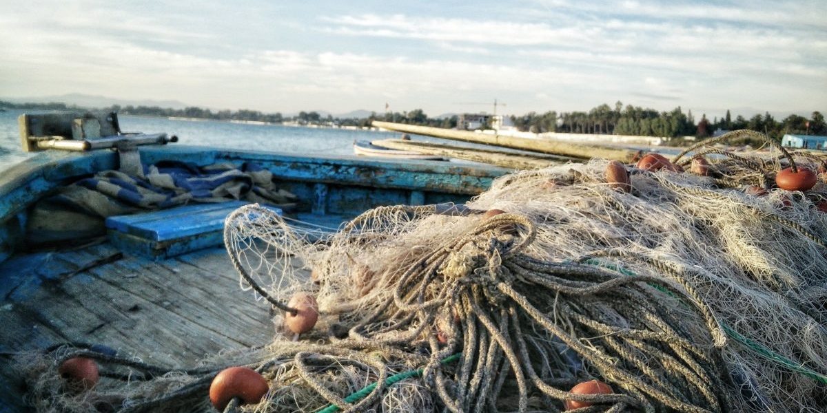 Prohibiție la pescuitul de scrumbie în Delta Dunării: Autoritățile prevăd capturi mici Începând de marți, pescuitul la scrumbie și rizeafcă este interzis în Delta Dunării, marcând startul perioadei de prohibiție pentru aceste specii