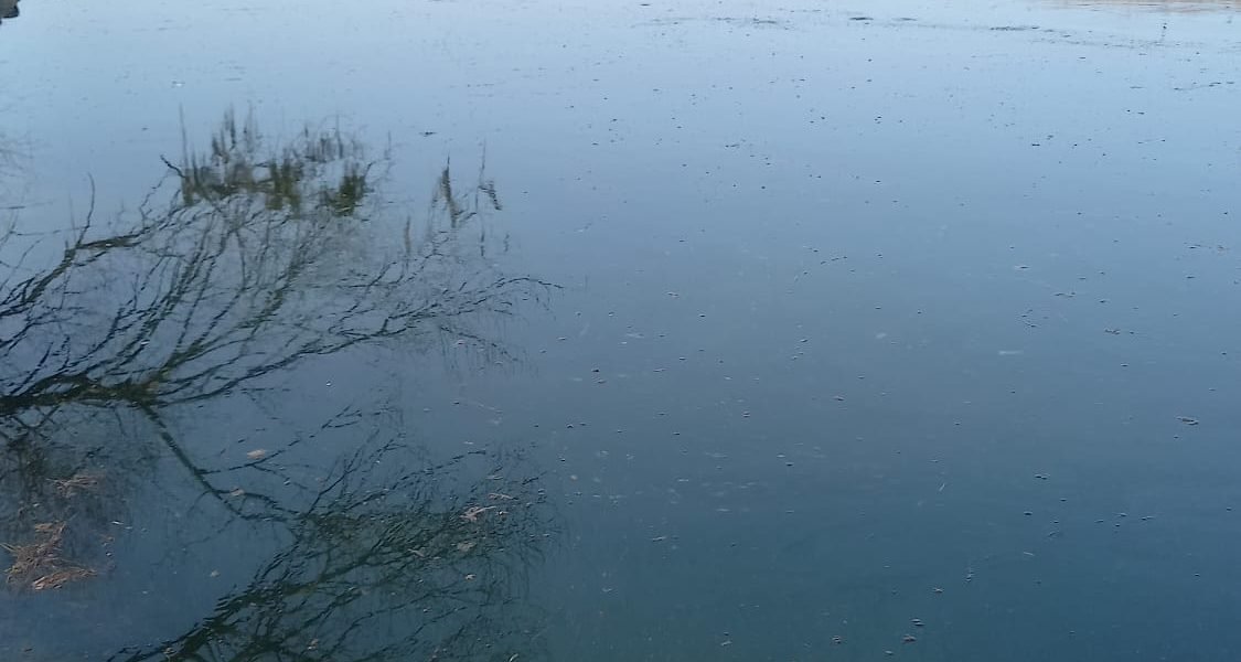 România oferă ajutor Republicii Moldova