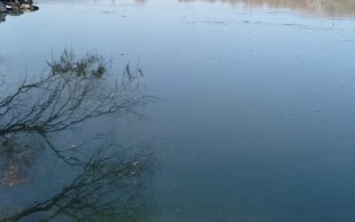 România oferă ajutor Republicii Moldova