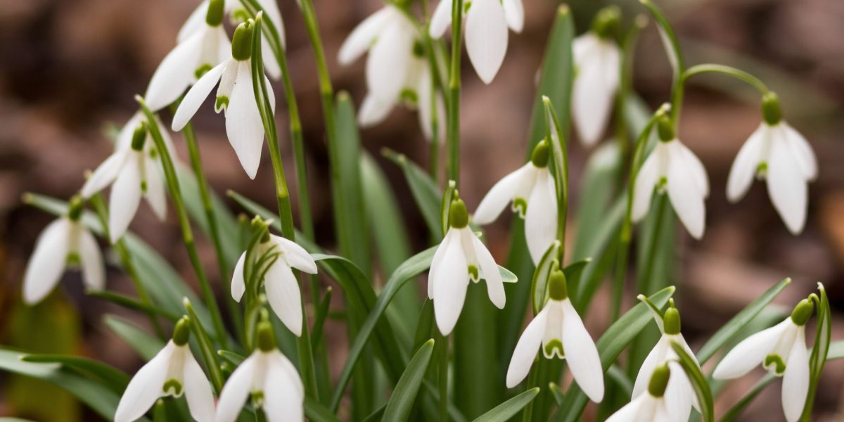 Vremea se menține blândă în majoritatea regiunilor, cu temperaturi peste medie O vreme relativ caldă, cu temperaturi ce vor depăși mediile specifice perioadei, este prognozată pentru următoarele zile în România, potrivit meteorologilor