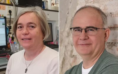 Academia Maghiară de Științe a premiat doi profesori clujeni de la UBB Comitetul Prezidențial pentru Știința Maghiară din Străinătate al Academiei Maghiare de Științe din Ungaria a anunțat laureații Premiului Arany János și ai Medaliei Arany János pentru anul în curs