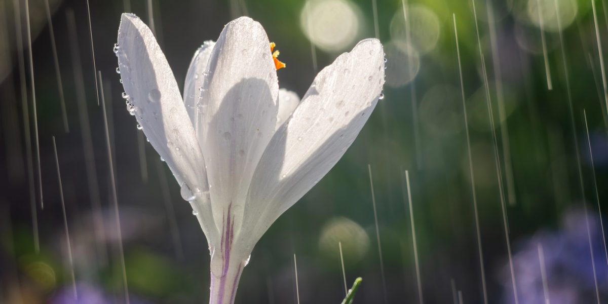 Vreme de primăvară în România: temperaturi peste medie și șanse de precipitații Vremea se va menține caldă pentru începutul primăverii în cea mai mare parte a țării, cu temperaturi peste media obișnuită pentru această perioadă