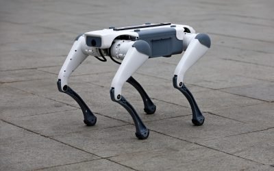 Roboți patrulează pe străzile din Târgu Mureș pentru a promova colectarea selectivă Un câine-robot și roboți umanoizi au început să patruleze pe străzile din Târgu Mureș, transmițând mesaje vocale prin care încurajează locuitorii să colecteze deșeurile selectiv