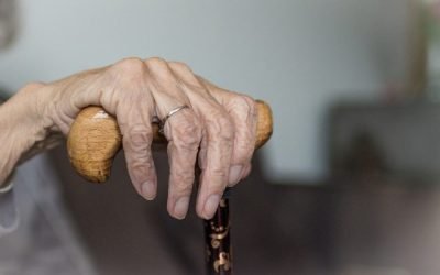 Vitamina ignorată care susține sănătatea seniorilor Fragilitatea oaselor, apariția vânătăilor după lovituri minore și problemele cardiovasculare sunt adesea trecute cu vederea drept simptome inevitabile ale înaintării în vârstă