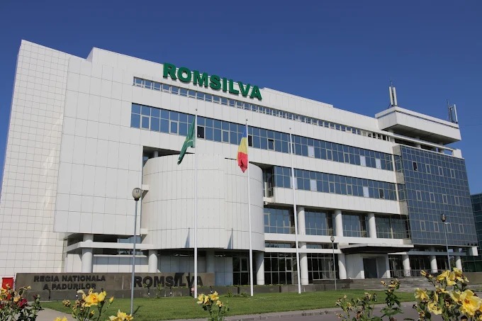 Tanczos Barna: Reforma romsilva, necesară „de jos în sus”