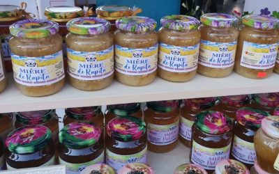 Ghiroda, capitala apiculturii vestice în acest weekend Comuna Ghiroda, situată în apropierea Timișoarei, găzduiește în acest sfârșit de săptămână cea de-a XV-a ediție a Târgului Apicol Internațional de Primăvară