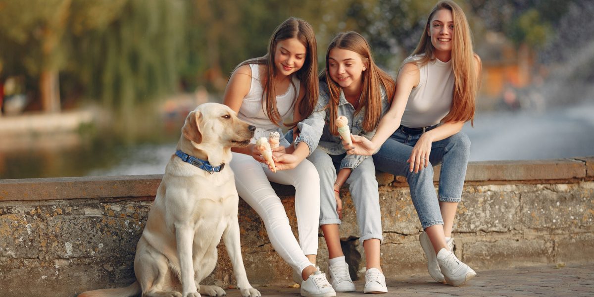 Iașiul, o excepție demografică: bărbații, ușor majoritari în județ În timp ce florăriile se pregătesc pentru 8 Martie, ziua dedicată femeilor, o analiză a datelor demografice din România dezvăluie o realitate inedită