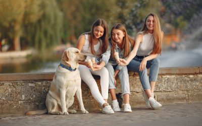 Iașiul, o excepție demografică: bărbații, ușor majoritari în județ În timp ce florăriile se pregătesc pentru 8 Martie, ziua dedicată femeilor, o analiză a datelor demografice din România dezvăluie o realitate inedită