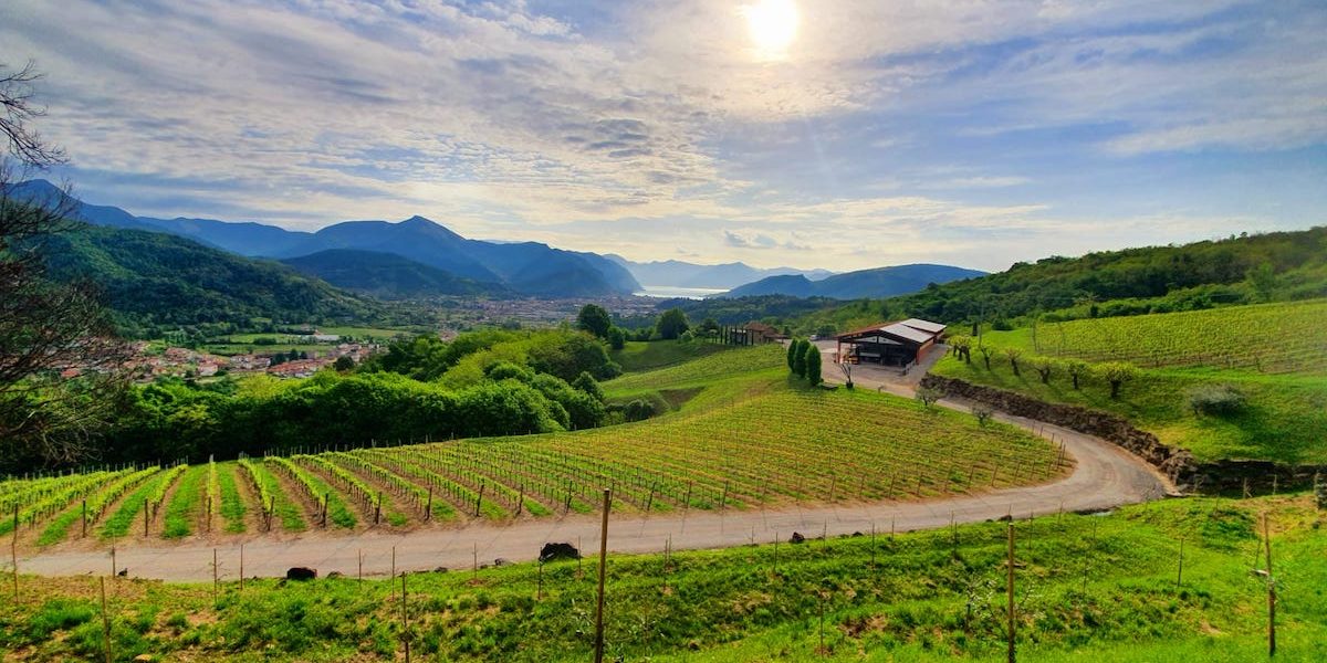 Femeile conduc un sfert din afacerile din Siena, Italia, unde antreprenoriatul feminin înflorește, cu un număr semnificativ de afaceri conduse de străini, arată datele recente