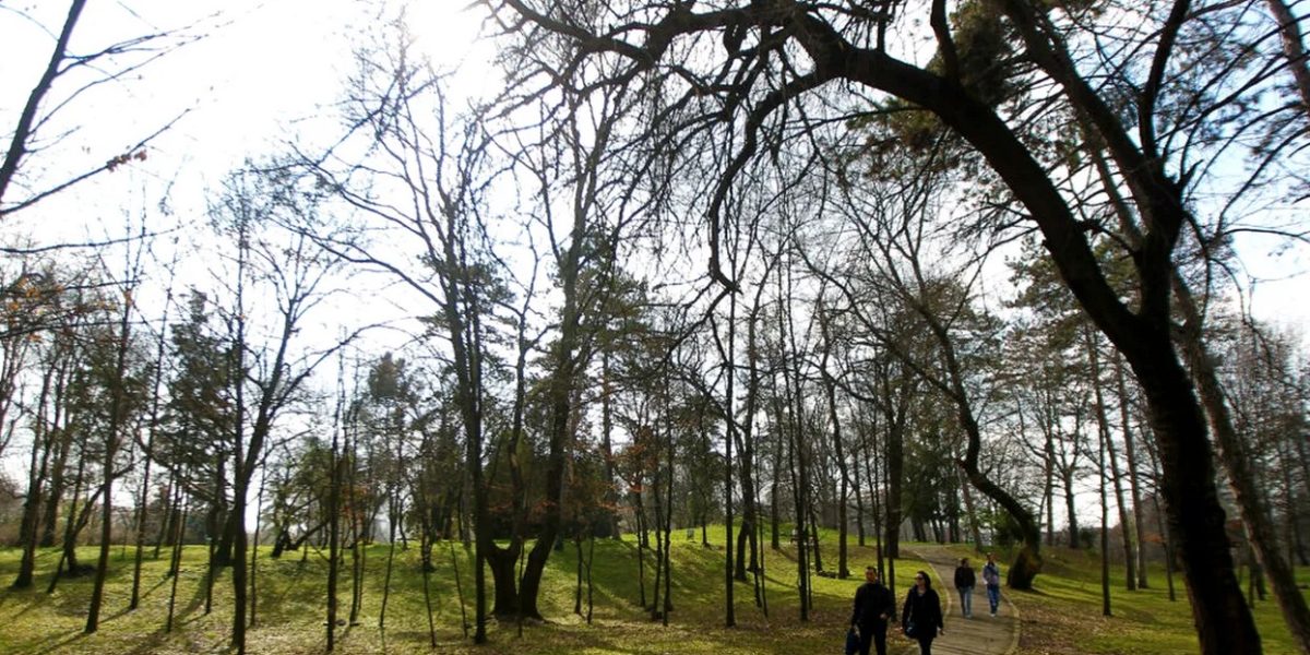 ANM anunță vreme caldă până la finalul lunii martie