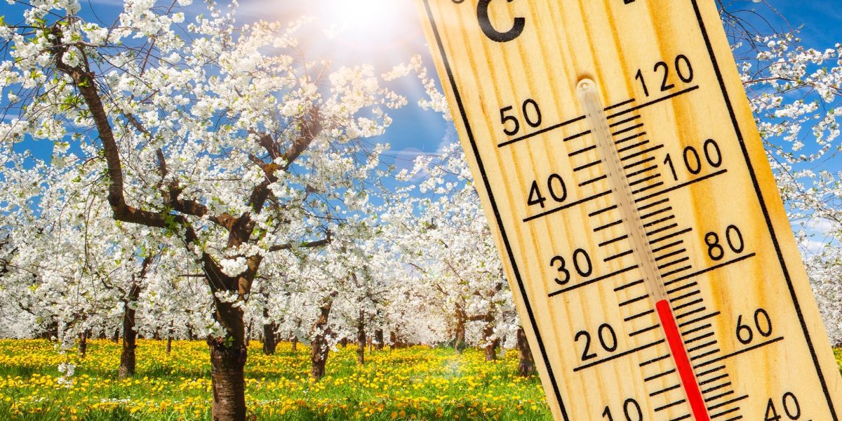 Vreme capricioasă de Paște: Alternanțe de temperatură și ploi în toată țara Bucureștenii și locuitorii din majoritatea regiunilor țării se pot aștepta la o vreme schimbătoare în perioada sărbătorilor pascale din acest an