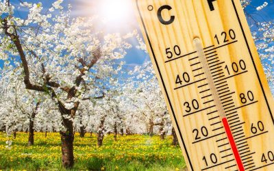 Vreme capricioasă de Paște: Alternanțe de temperatură și ploi în toată țara Bucureștenii și locuitorii din majoritatea regiunilor țării se pot aștepta la o vreme schimbătoare în perioada sărbătorilor pascale din acest an