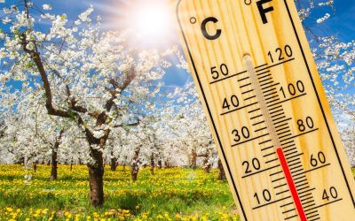 Temperaturi spre 20 de grade, dar cu ploi: Prognoza meteo pentru România