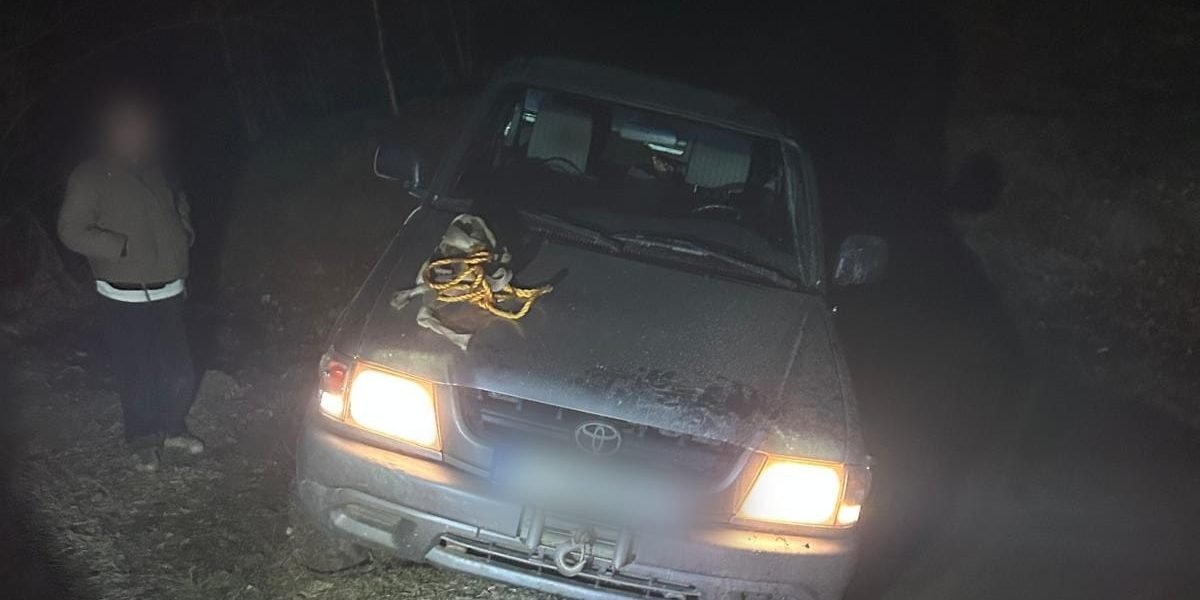 Turiste rătăcite în pădure, salvate de jandarmii din Sibiu