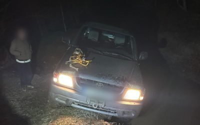 Turiste rătăcite în pădure, salvate de jandarmii din Sibiu