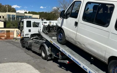 Român amendat cu 10.000 de euro în Italia: Fără permis, fără asigurare, pe lângă gunoaie, și… Furt acasă