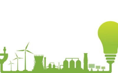 Zece proiecte care au pus eticheta pe Donald Trump și România