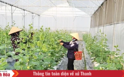 Agricultura de înaltă tehnologie în Vietnam: Oportunități de afaceri și succes în creștere Compania de comerț și servicii agricole de înaltă tehnologie RICH FARM din Vietnam investește masiv în dezvoltarea producției agricole