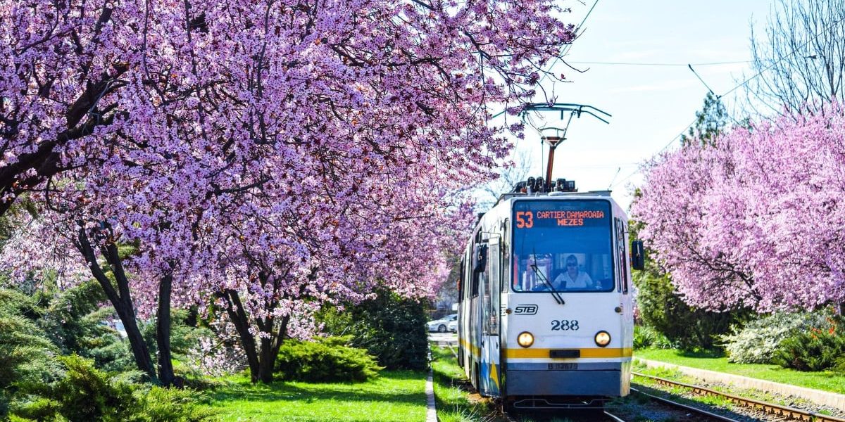 CÂND circulă TRAMVAIUL 41 și liniile de noapte în București?