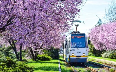 CÂND circulă TRAMVAIUL 41 și liniile de noapte în București?