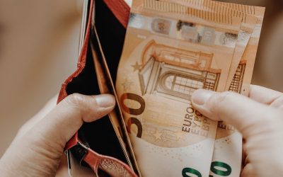 Ungaria, la euro până în 2030? Planul Budapestei zguduie Europa