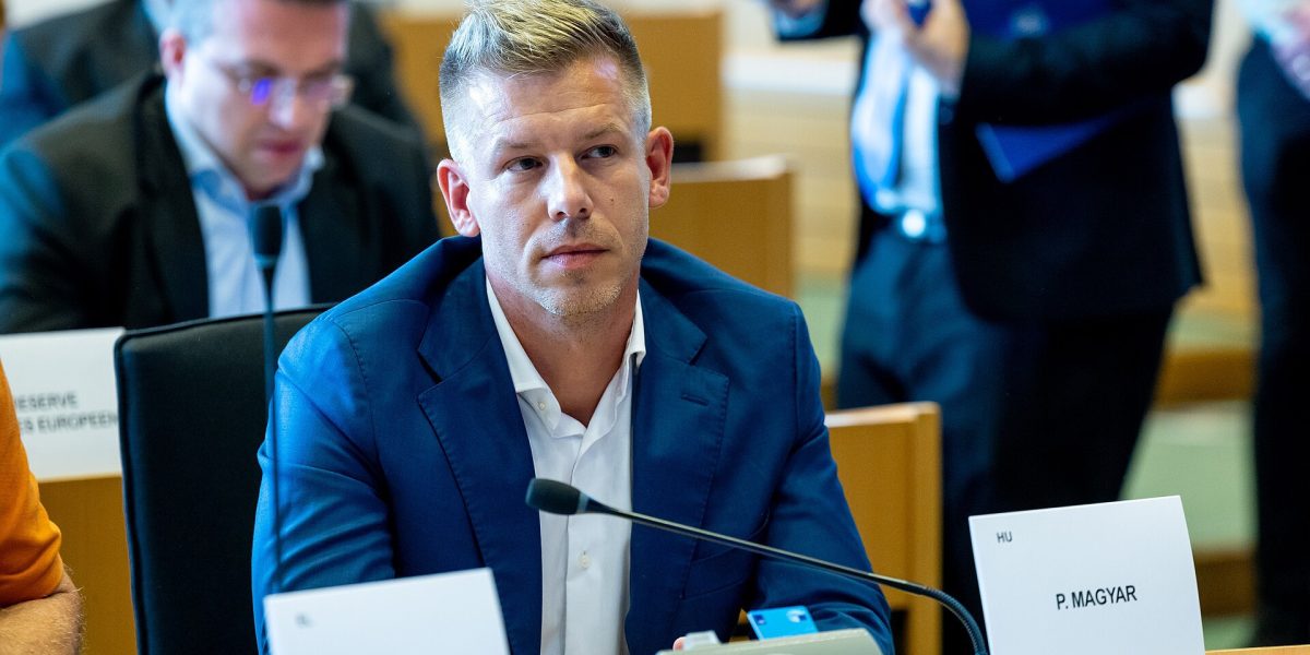 Peter Magyar, politicianul care șochează: Ce făcea în anii 2000