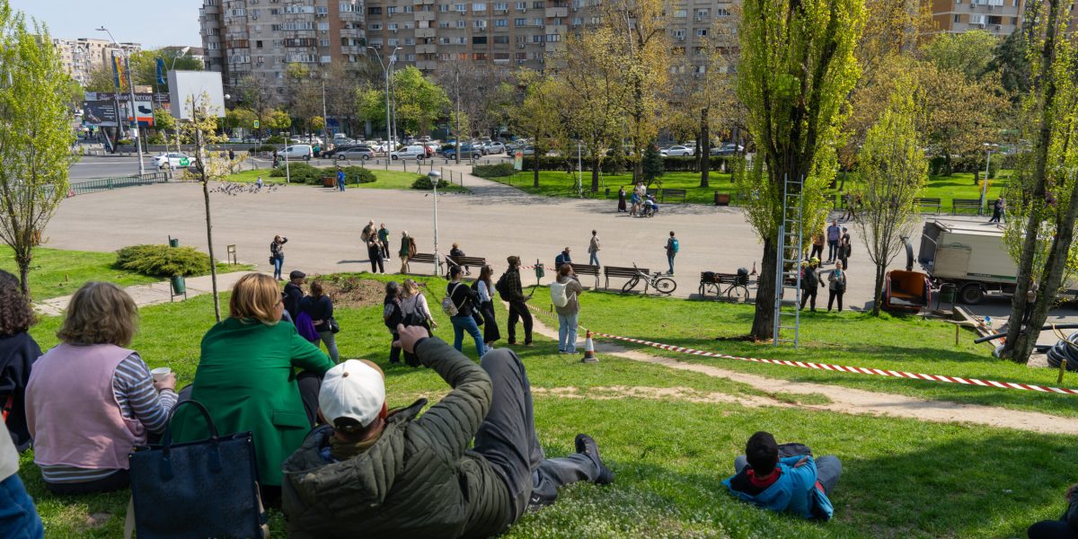 Arborii din Parcul Tineretului, în pericol: Salvarea plopilor, testată prin intervenții pilot