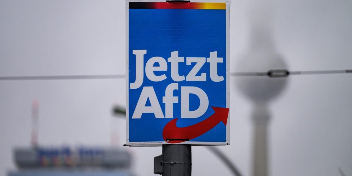 AfD, partidul extremist, urcă vertiginos în preferințele electoratului german
