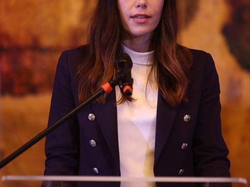 Prună, acuzații dure: Privatizarea, umbrită de „confuzii voite”