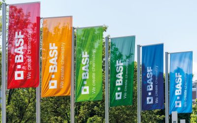 BASF, investiție majoră în București: Peste 50 de angajări