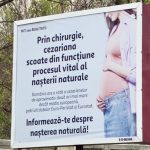 În 2026, România e ȘOCATĂ: Senatoarea Păun cere măsuri urgente după panouri controversate