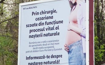 În 2026, România e ȘOCATĂ: Senatoarea Păun cere măsuri urgente după panouri controversate