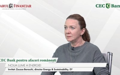 CEC Bank, motor pentru business-urile românești. Zsuzsa Bereschi (EY): Resurse, pe plan local